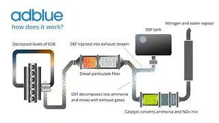Citroen AdBlue удалить egr удалить