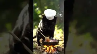Cat cooks goat #cat #cooking #goat #food #eating #yummy