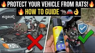 🔥Protect Your Vechicle 🚗 🛵 from Rats 🔥 How to Guide in Kannada🚘🐀👌 #ratbite #ratproblem