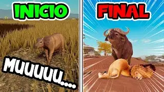 EL BÚFALO MÁS PELIGROSO de ÁFRICA | SAVANNAH LIFE