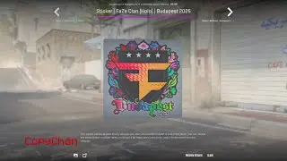 Budapest Contenders Team Sticker Capsule 2025 Showcase Unboxing CS2 Update #cs2updates #budapest