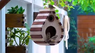 CREATE Your Own Beautiful DIY Wooden Bird Feeder Designs Now!