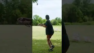 What my form looks like as a 1000 rated disc golfer in Austin Texas
