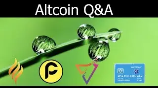 Social Media Q & A - Crypto Pay, Social Send, PacCoin, Ember Coin Update