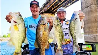 QUADFECTA BEATDOWN on Nickajack Lake! (INSANE FISHING)