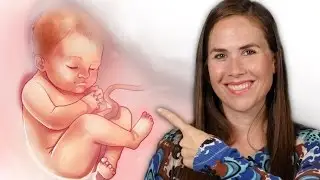 Our Natural Pregnancy Week by Week is LIVE!