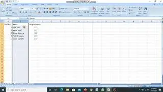 Class 6 Formatting data in excel