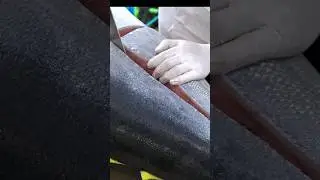 Тунец 