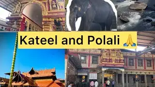 Sri Durgaparameshwari Kateel | Raja rajeshwari Polali | Kannada Vlog | Goddess Durga #polali #kateel
