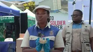 CUT Innovate: Black Soldier Fly Farming for Sustainable Livestock Feed & Organic Fertilizers