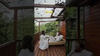 Dreamiest Resort in Coorg, Karnataka. #shorts #trending #coorg #karnataka #resorts #honeymoon #india