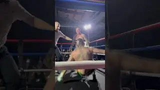 Chris Masterson scores a massive KO in the final fight of his career! #boxing #boxingnews #shorts