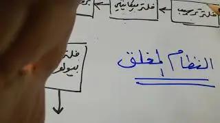 شرح مبسط للاستزراع السمكي بالنظام المغلق. عبدالله صالج الخالدي. منقول من اليوتيوب