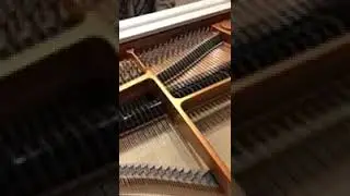 Piano &agrave; queue Ernst Krause KC-160