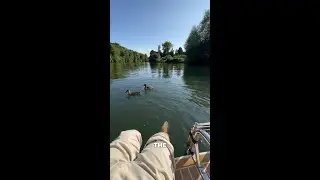 Cliveden Reach - the prettiest section of the River Thames