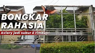 Bongkar Rahasia Aviary Subur: 4 Tahun Tanpa Pupuk, Tanaman Tetap Rimbun!