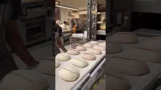 Bakery work #trending #sourdoughbread #food #newzealand #breadrecipes #bread #breadmaking #baking