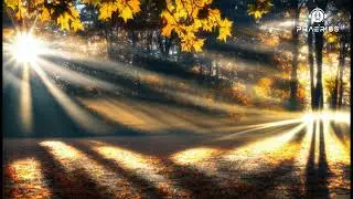 Phaeriss aka Lord Petrysek - Autumn rays (creative commons relax electronic music)