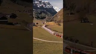 New Zealand Short Video