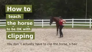 Cooperative clipping tutorial