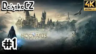 Hogwarts Legacy | #1 Nebelv&iacute;r | Bez koment&aacute;ře (PC)