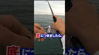 『ショアテンヤ』こんなとこから釣れるの！？堤防からあの高級魚が釣れた‼️#shorts #釣り