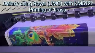 KM512i Flex Printer, Solvent Printer, 1Pass Printing