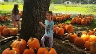 Family Fun Trip to the Farm Halloween Pumpkin Patch Corn Maze Children Activities Funtastic Family