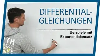 Differentialgleichung lösen | Exponentialansatz 2 Beispiele | Mathe by Daniel Jung