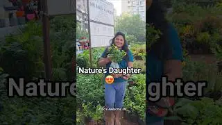 Nature's Daughter #gardening #balconygarden #flowerlove #phoolish #madhumalti #nursery #plants#phool