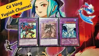 Giới thiệu Combo deck HERO OTK Master rule 5 | C&aacute; V&agrave;ng Yugioh Channel