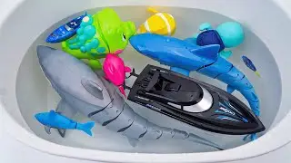🐰toy asmr🐰 ZURU Robo Alive Robotic Great White Shark Series 1 Toys ASMR 🦈 No talking