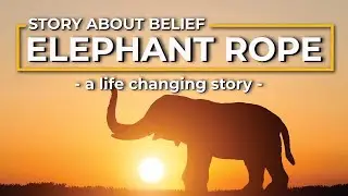 BELIEF - The Elephant Rope Story