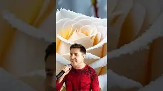 #белыерозы#шатунов#shorts#short#shortsfeed /голос как у Шатунова 2024 #cover2024 #shortsvideo