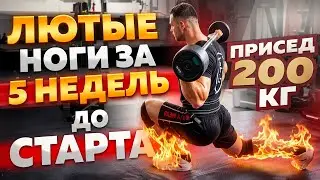 НОГИ / КВАДРИЦЕПС и ИКРЫ / 5 НЕДЕЛЬ ДО СТАРТА 