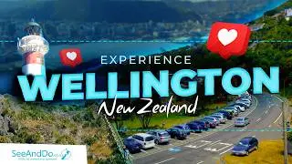 Wellington Region, New Zealand | Coastal Views, Culture & Wild Landscapes