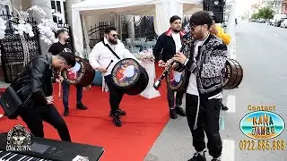 Formatia Kana Jambe Arabii lu' Bursuc - Instrumentala (Nunta Armyn & Romanita)