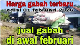 Harga gabah hari ini 01 Januari 2026@Petanimuda2putra 