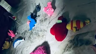 Her toys #coco #mypuppyvideos Music: GoaMusician: ASHUTOSHSite:  