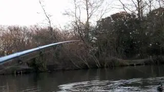 feeder fishing bites