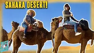 Riding Camels For The First Time!