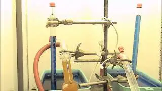 Simulated diurnal light cycles applied to Rhodobacter sphaeroides