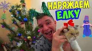 НАРЯЖАЕМ ЕЛКУ! НОВОГОДНЯЯ АТМОСФЕРА! Домашний ВЛОГ! / Виталий Зеленый