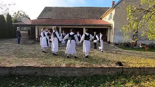 Domaćinske Priče - Putopis Putinci - 31.01.2020.