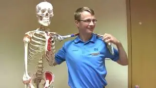 AHP Day Physiotherapy
