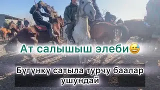 МАНАС АТ🐎Базары