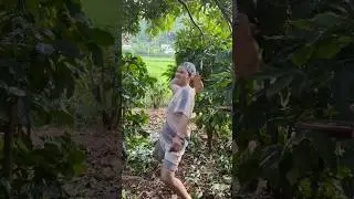 Koj Puas Nov na Nkauj lig | #dabneeghmoob #funny #hmoobtxojkevuaneej #koosloos #comedy