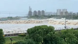 Once a year, Tsunami like waves strikes China! Typhoon Pulasan triggers flooding in Shanghai