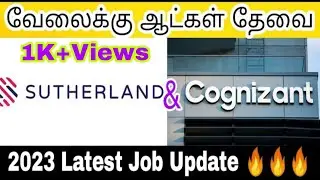 Sutherland job vacancy 2023 | Cognizant job openings| Private Jobs in tamil | IB