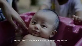 Countries with the Highest Birth Rates